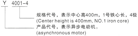 西安泰富西玛Y系列(H355-1000)高压南湖三相异步电机型号说明