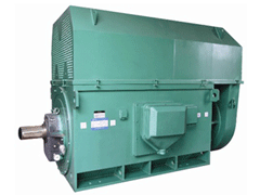 南湖Y系列6KV高压电机